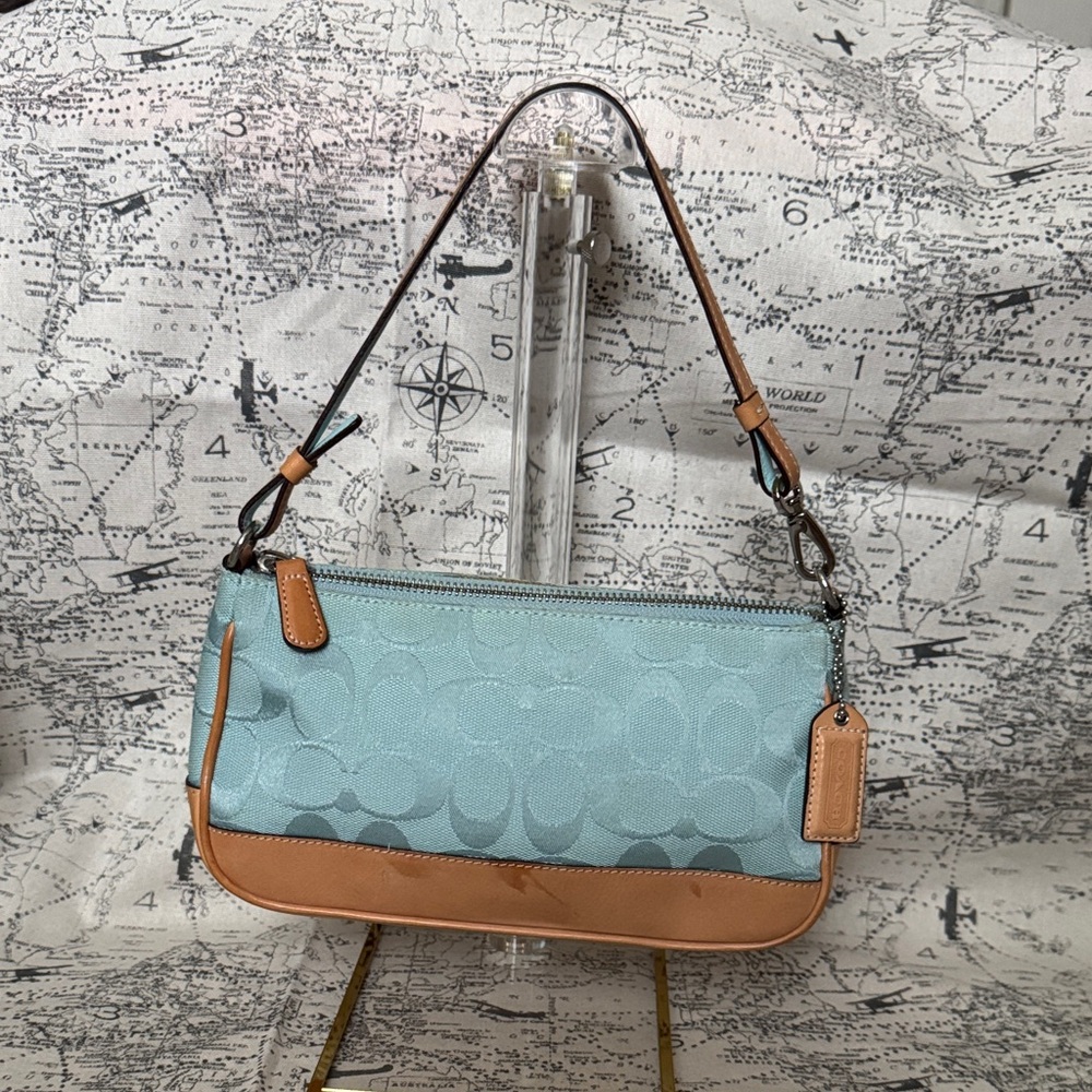 Elegant Blue and Tan Women's Bag